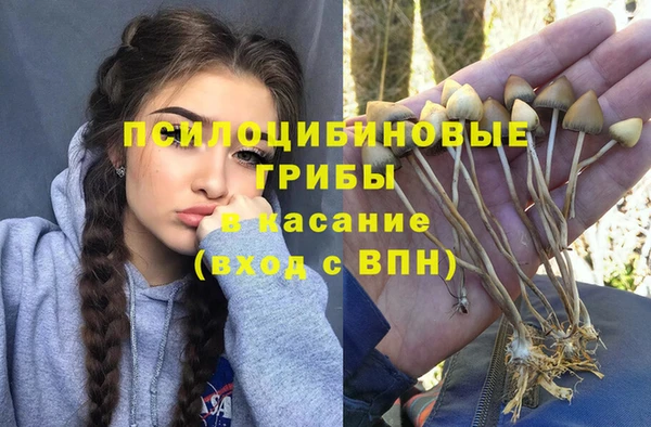 герыч Алексеевка