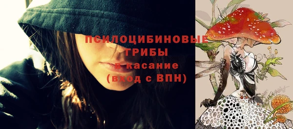 бутират Дмитриев