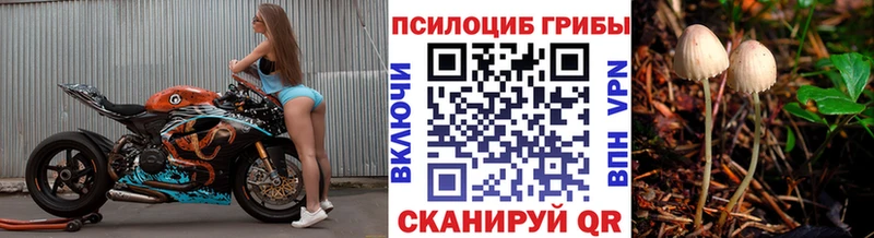 OMG ССЫЛКА  наркота  даркнет как зайти  Галлюциногенные грибы GOLDEN TEACHER  Санкт-Петербург 