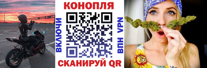 где купить наркоту  Санкт-Петербург  Бошки марихуана планчик 